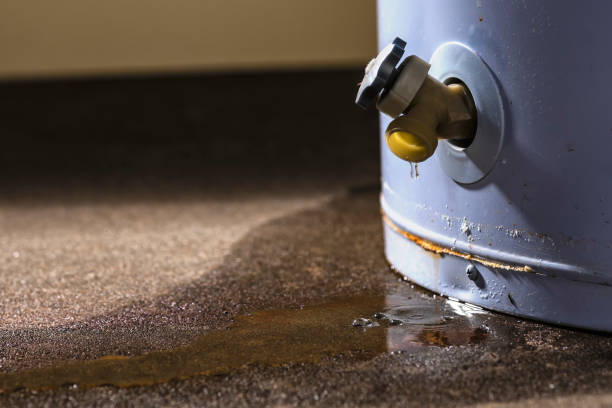 Best Commercial water damage restoration  in Berlin, OH