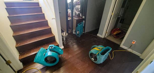 Best Mold removal after water damage  in Berlin, OH