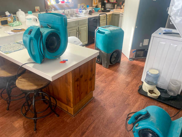 Best Basement water damage restoration  in Berlin, OH