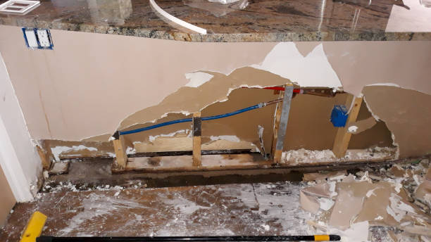 Best Local water damage restoration  in Berlin, OH
