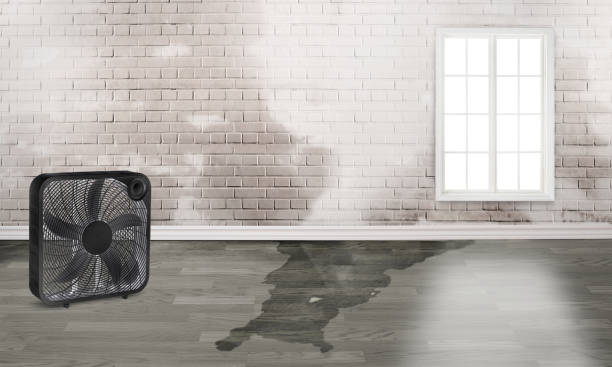 Best 24/7 water damage repair  in Berlin, OH