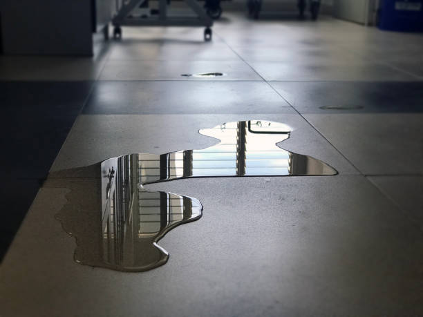 Best Water damage cleanup near me  in Berlin, OH