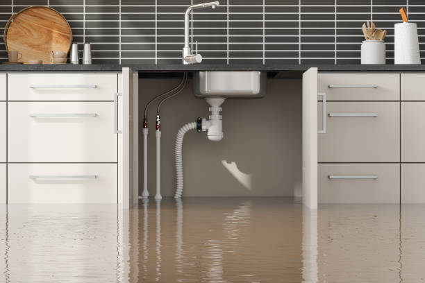 Best Sewage cleanup and water damage restoration  in Berlin, OH