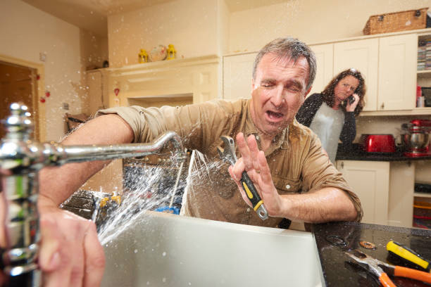 Best Water damage contractors near me  in Berlin, OH